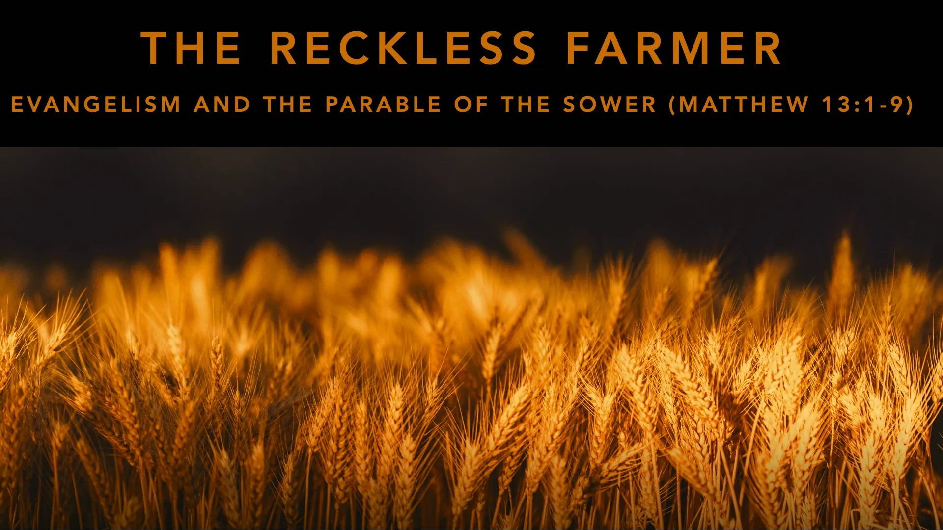 The Reckless Farmer