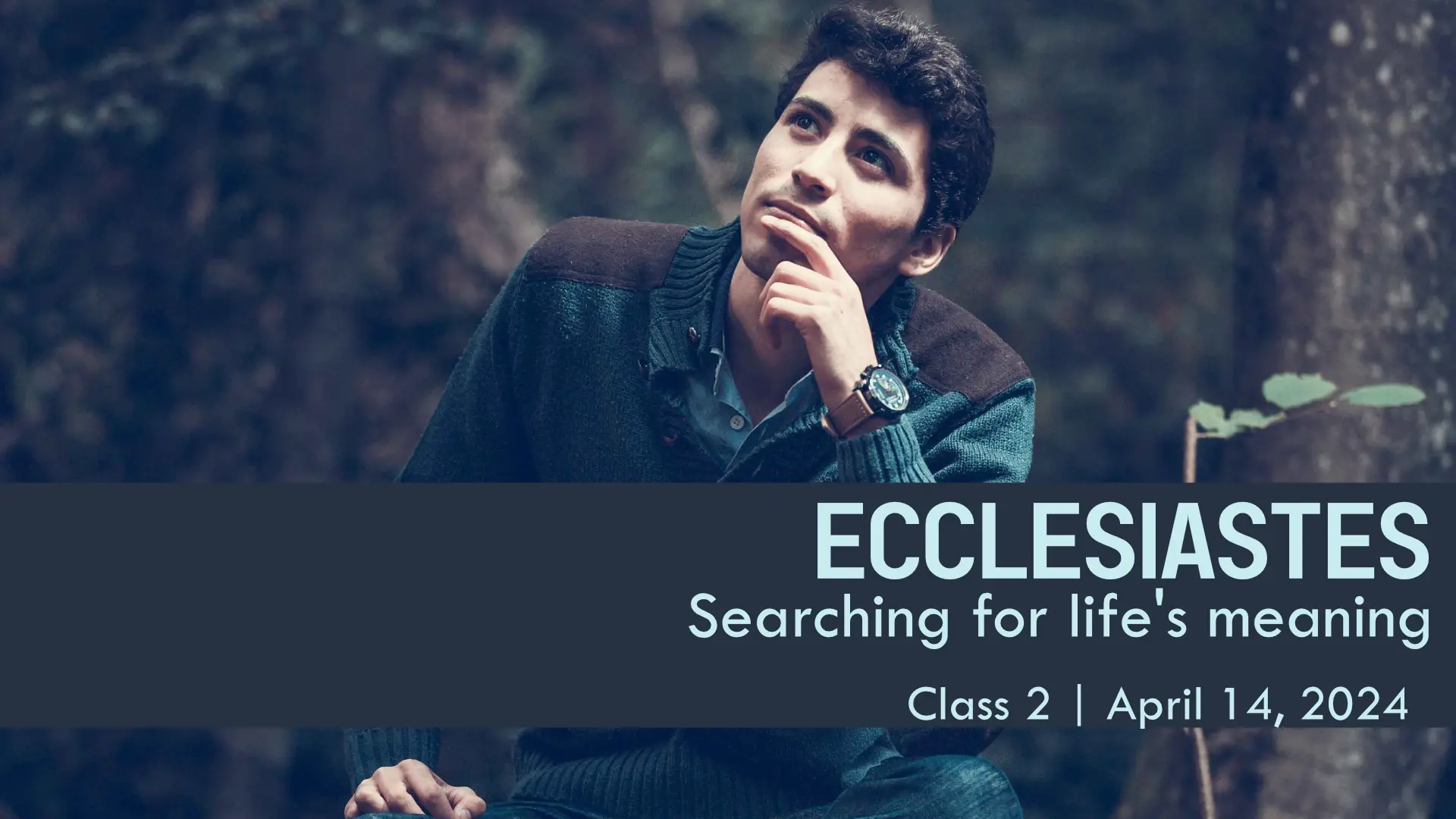 Ecclesiastes: Searching for Life's Meaning | Class 2