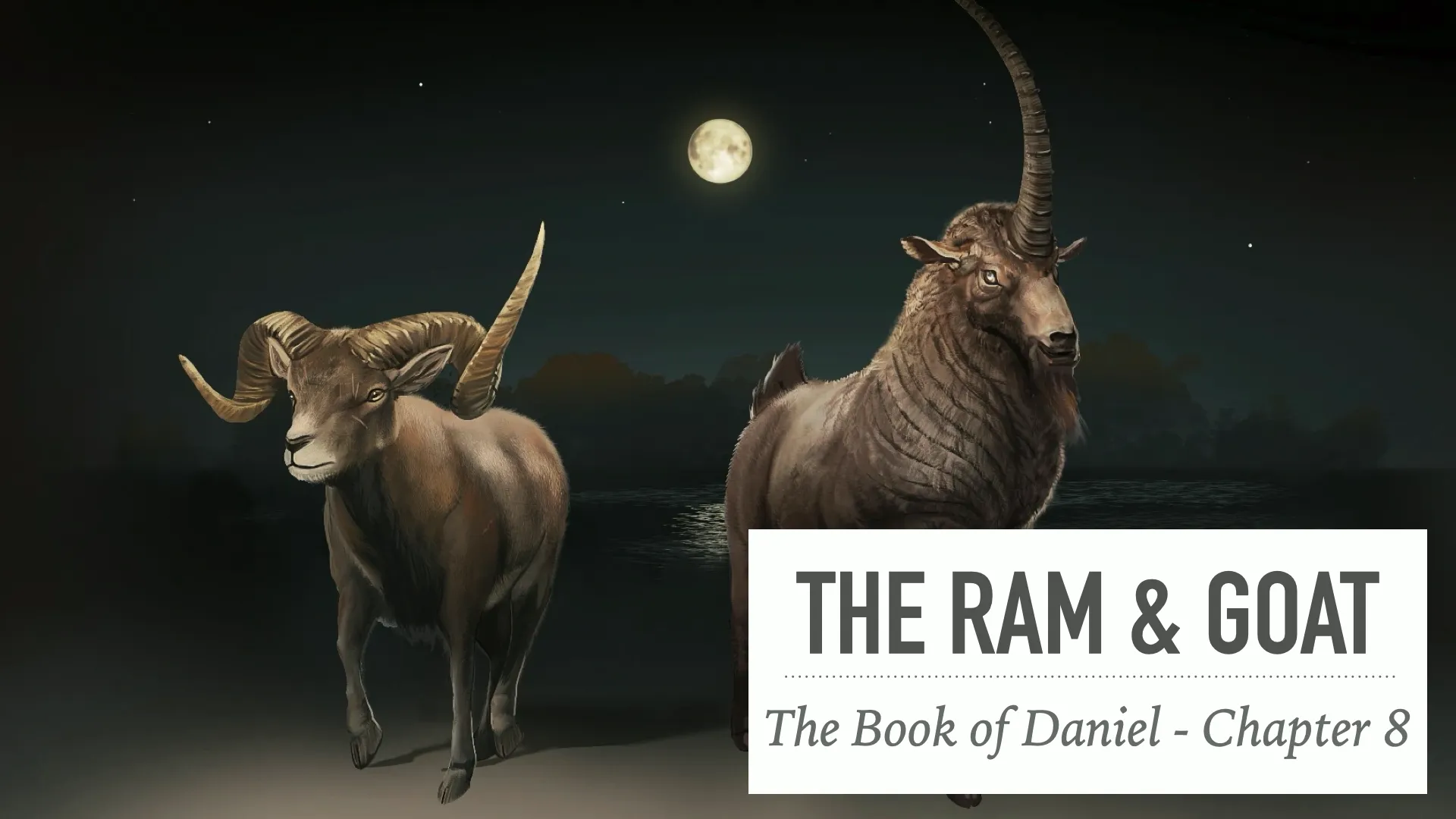 The Ram & Goat