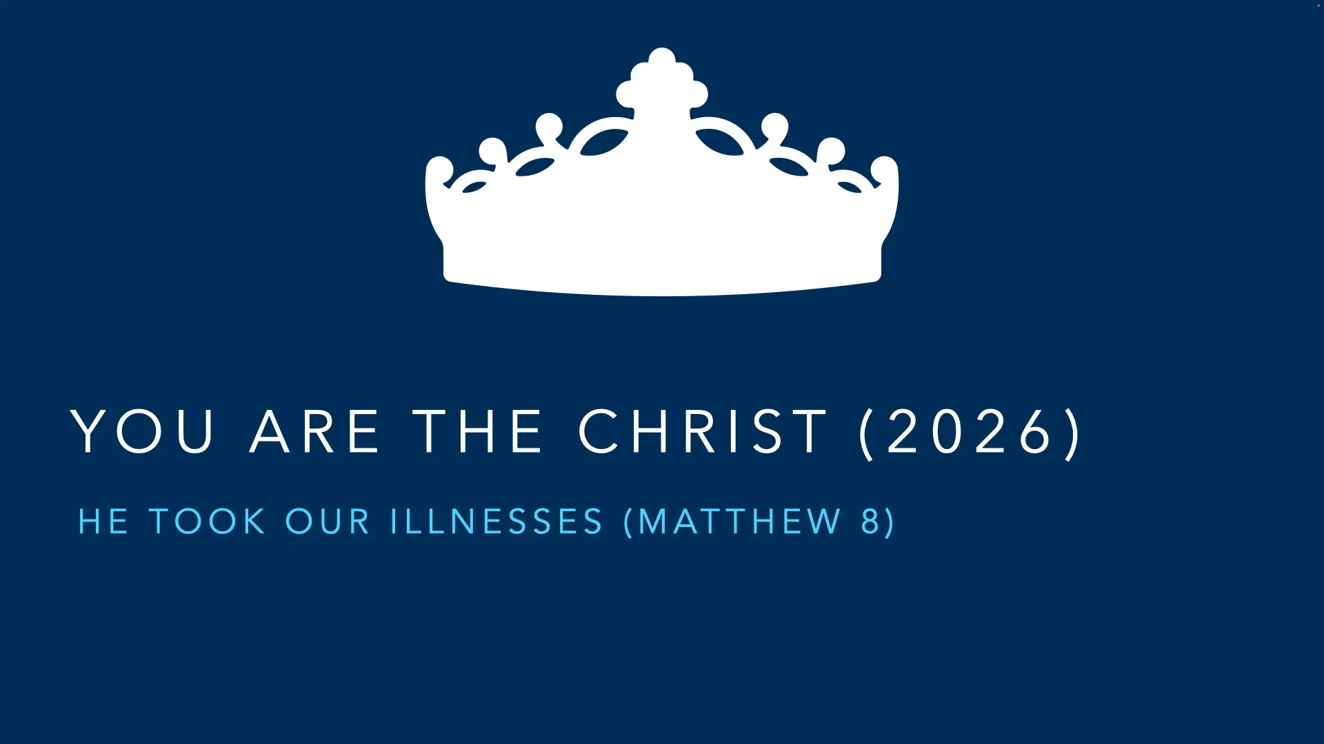 He Took Our Illnesses